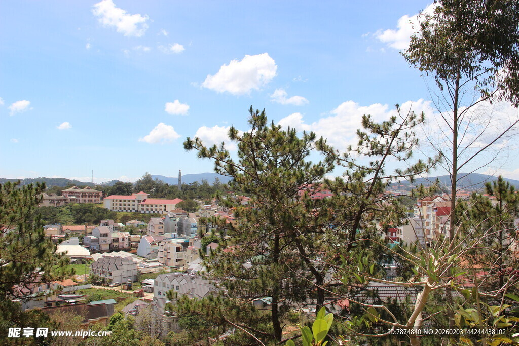 越南俯瞰绿树环绕的美丽景致