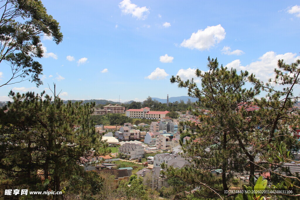 越南俯瞰绿树环绕的城镇风光