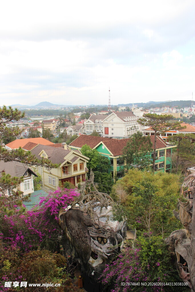越南俯瞰多彩房屋与繁茂植被