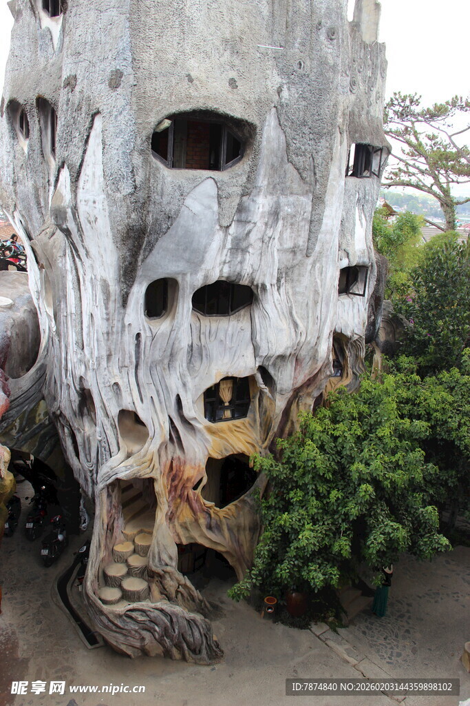 越南奇特孔洞大树与周边绿植