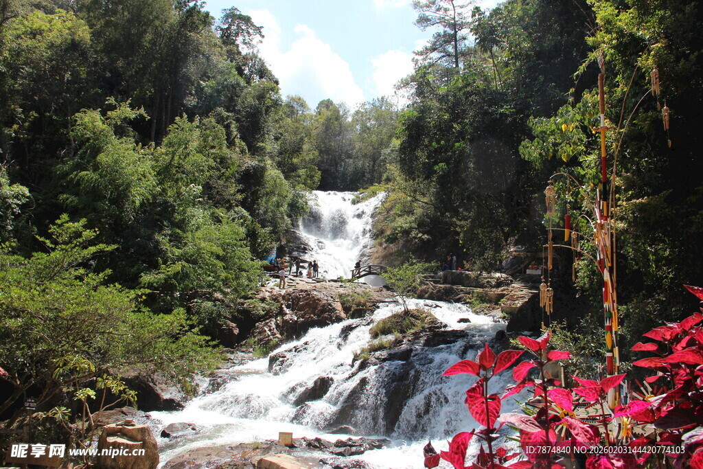 越南山间瀑布旁艳丽红花绽放