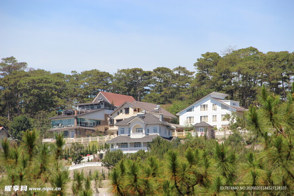 越南山林间的美丽别墅群