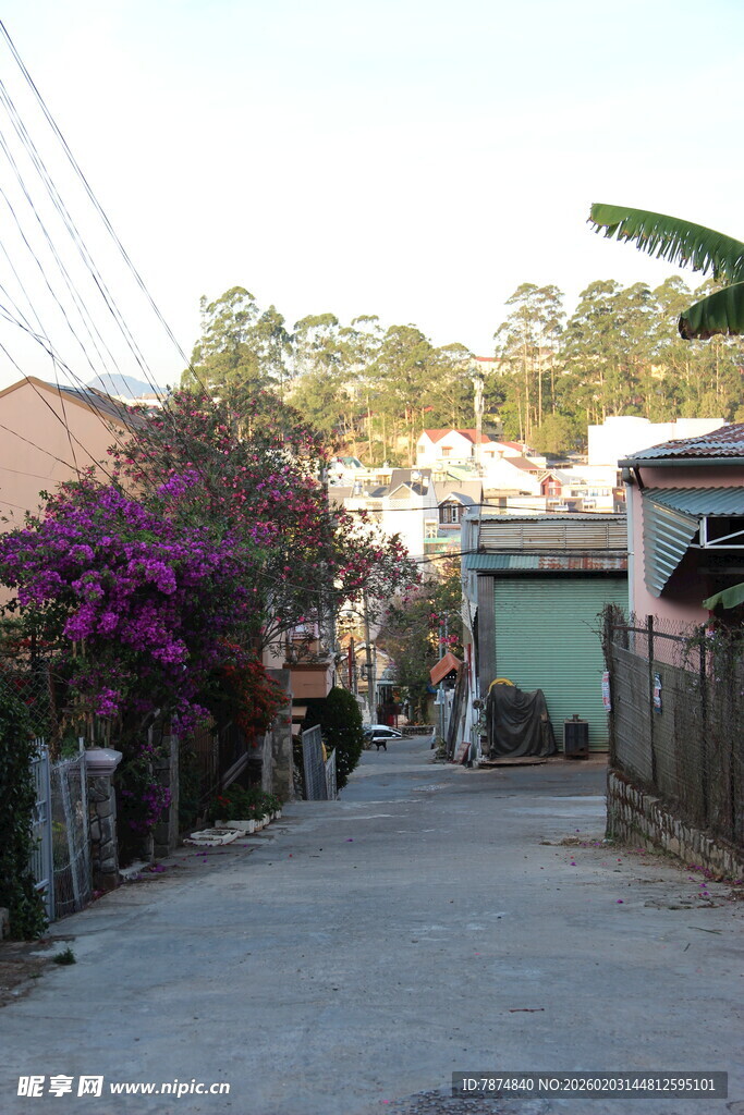越南宁静乡村小巷日常景象