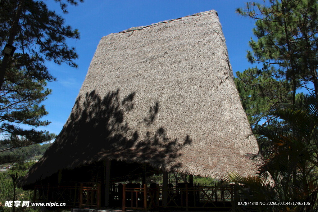 越南林间茅草屋