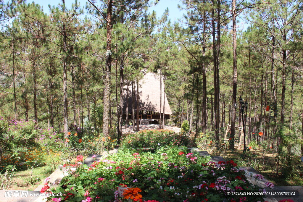 越南林间雕像 繁花相伴