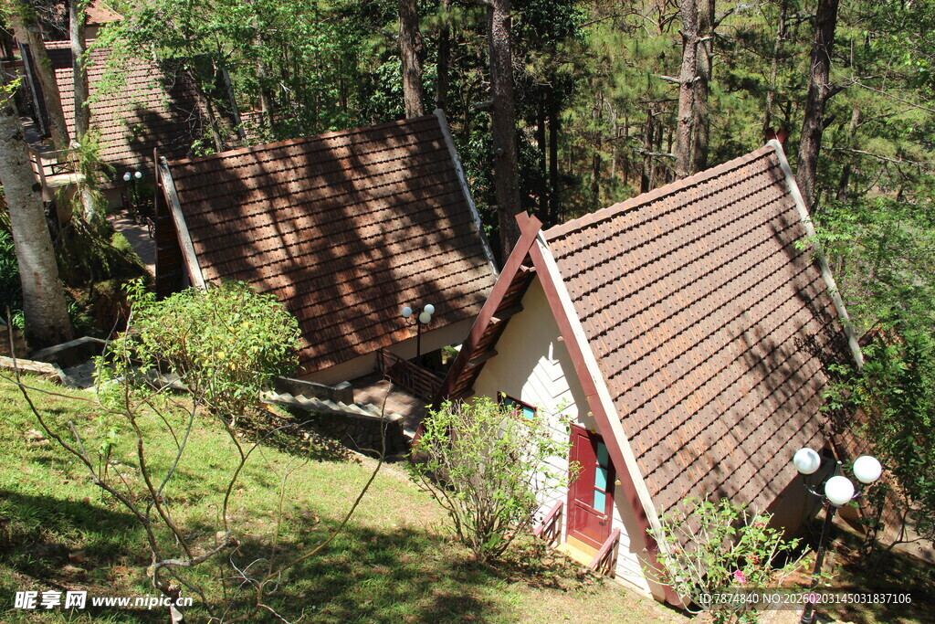 越南森林中倾斜的小屋