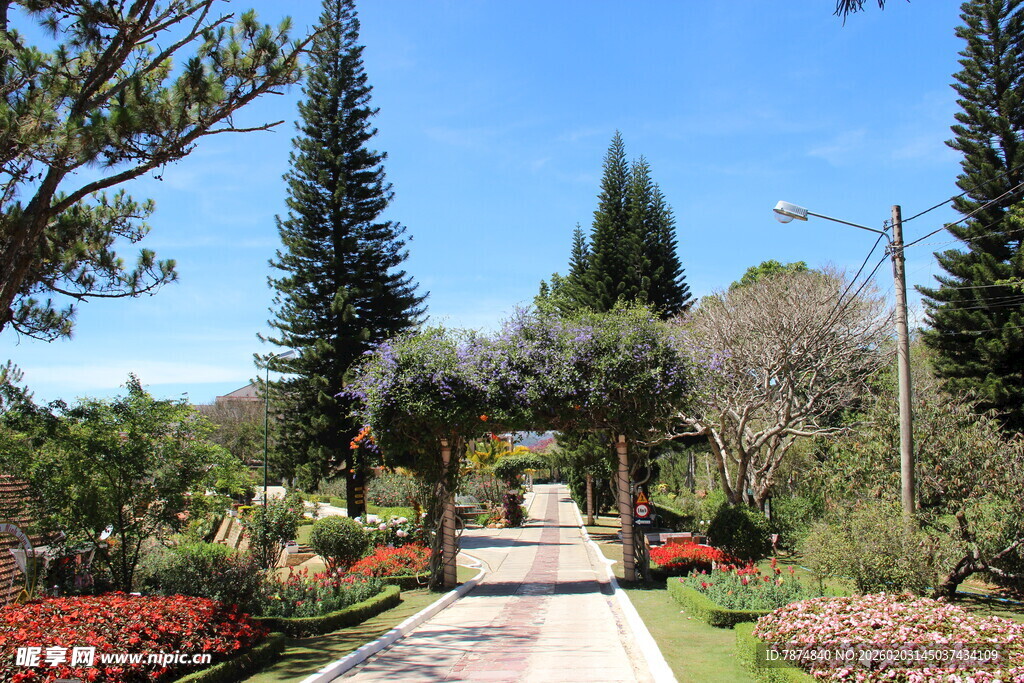 越南美丽园林中的清幽小径