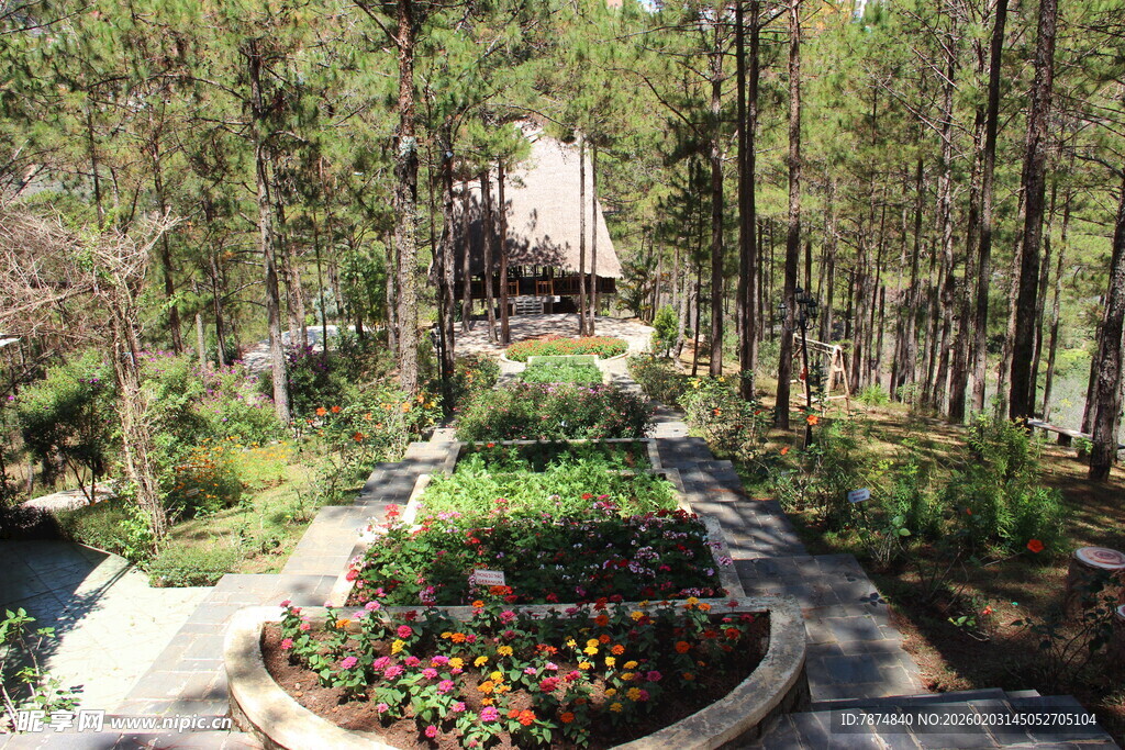 越南林间花园景观 自然之美