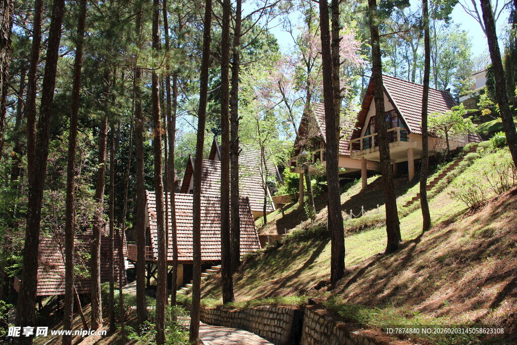 越南林间木屋 自然中的静谧居所