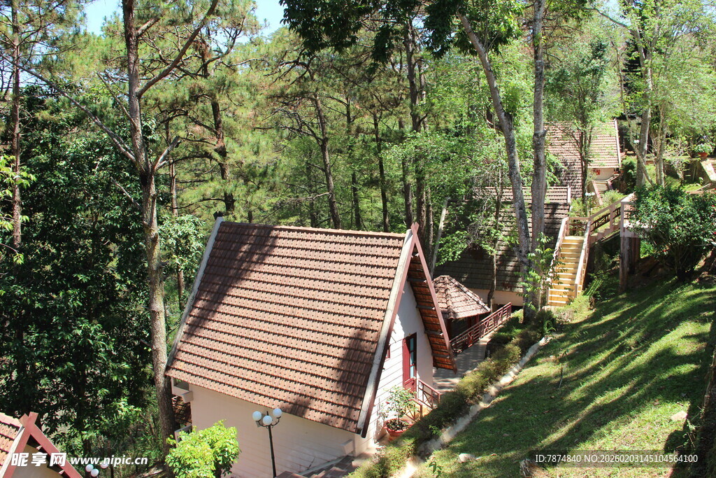 越南林间小屋 静谧自然之景
