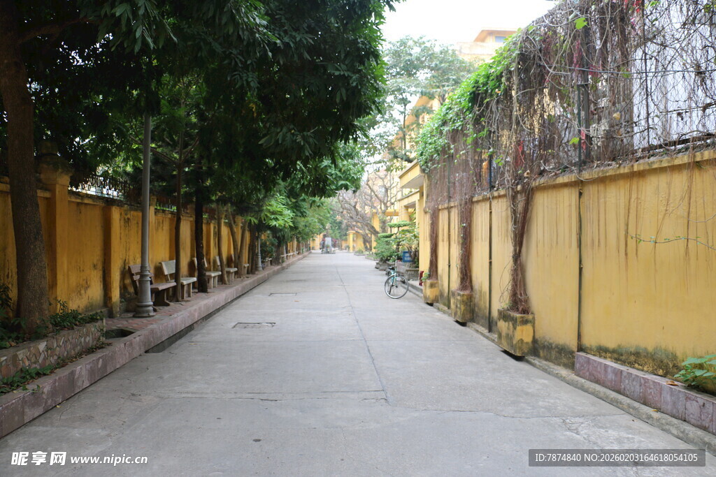 越南黄墙绿树间的幽静小道