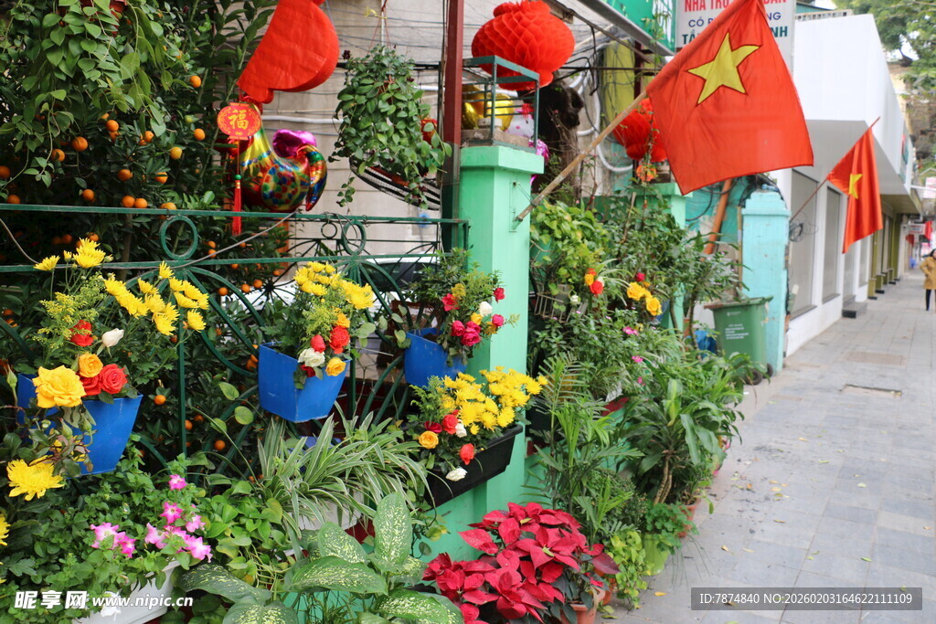 越南街道旁色彩缤纷的花卉景观