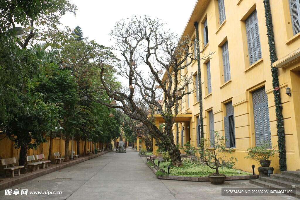 越南黄色建筑旁的静谧街道