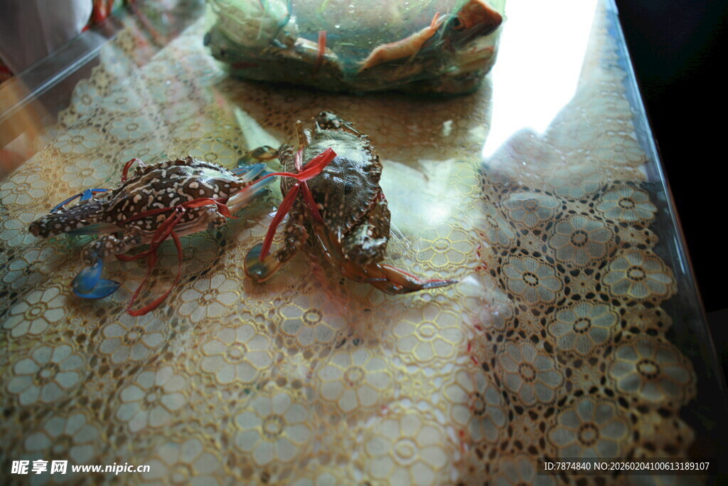 越南两只彩色螃蟹趴在桌上