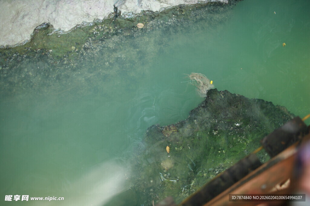 越南船边清澈海水中的神秘景象