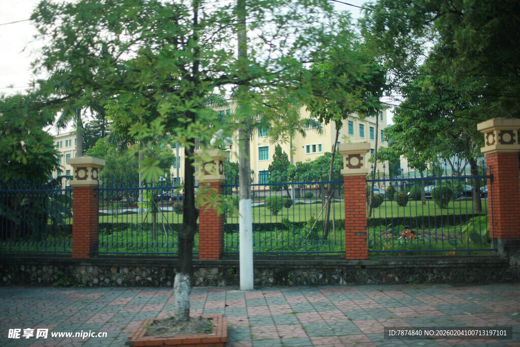 越南庭院绿树景观