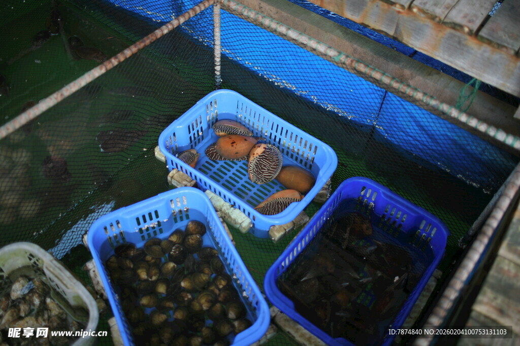 越南海鲜水产装于蓝色容器中