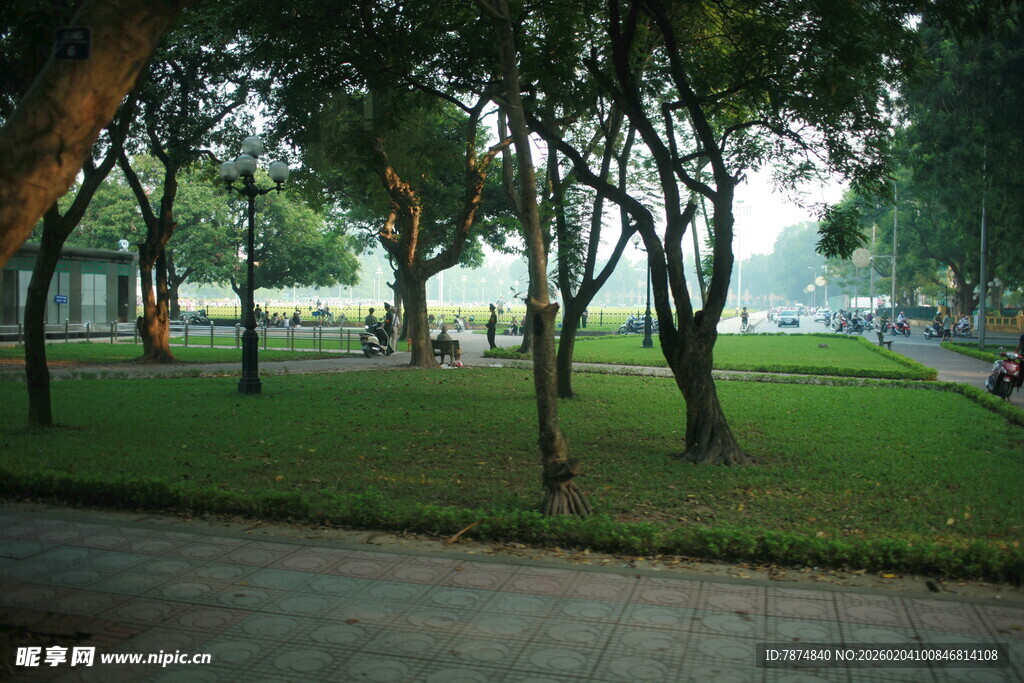 越南城市公园中的静谧林荫道