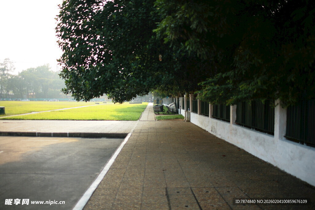 越南林荫步道旁的开阔绿地