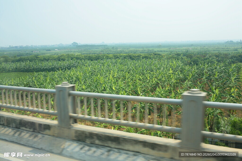 越南公路旁的葱郁农田景观