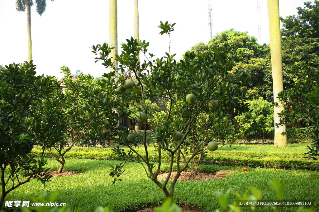 越南绿意盎然的园林景观