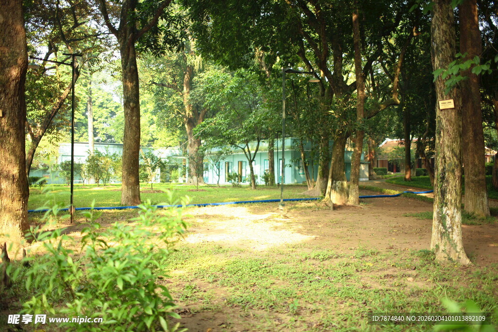 越南林间小道 静谧自然景致