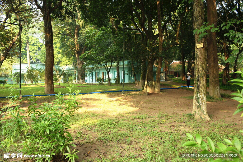 越南林间静谧景色