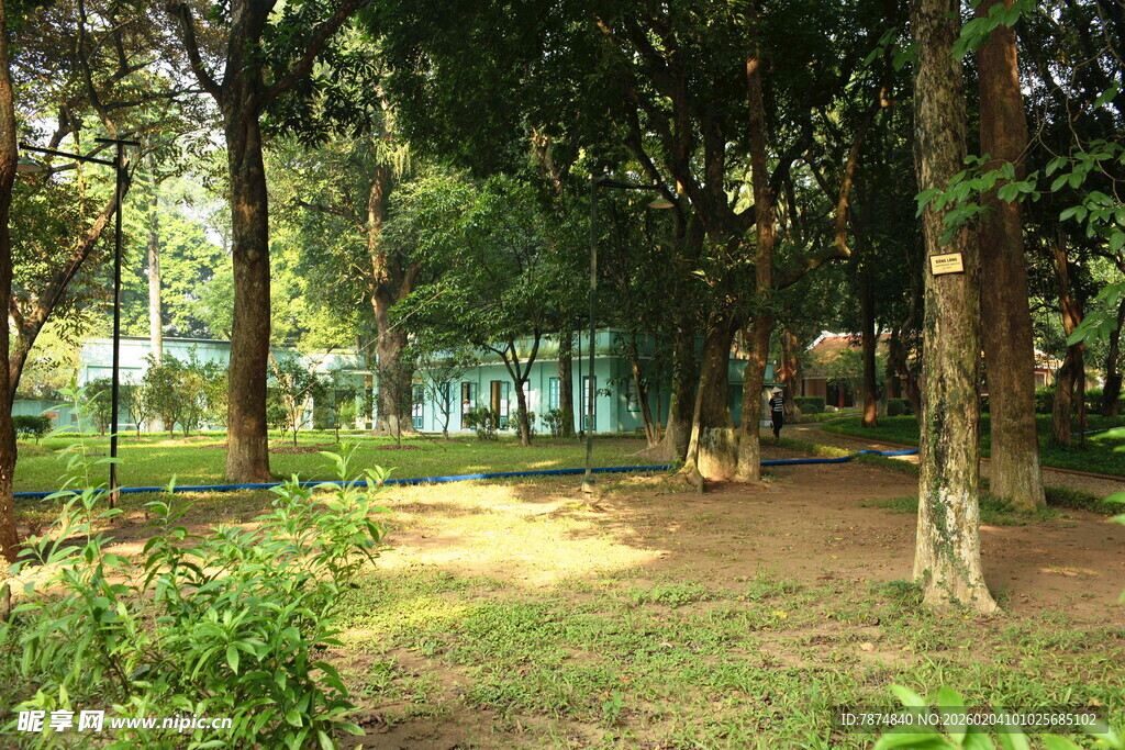 越南林间幽静的自然休闲场景