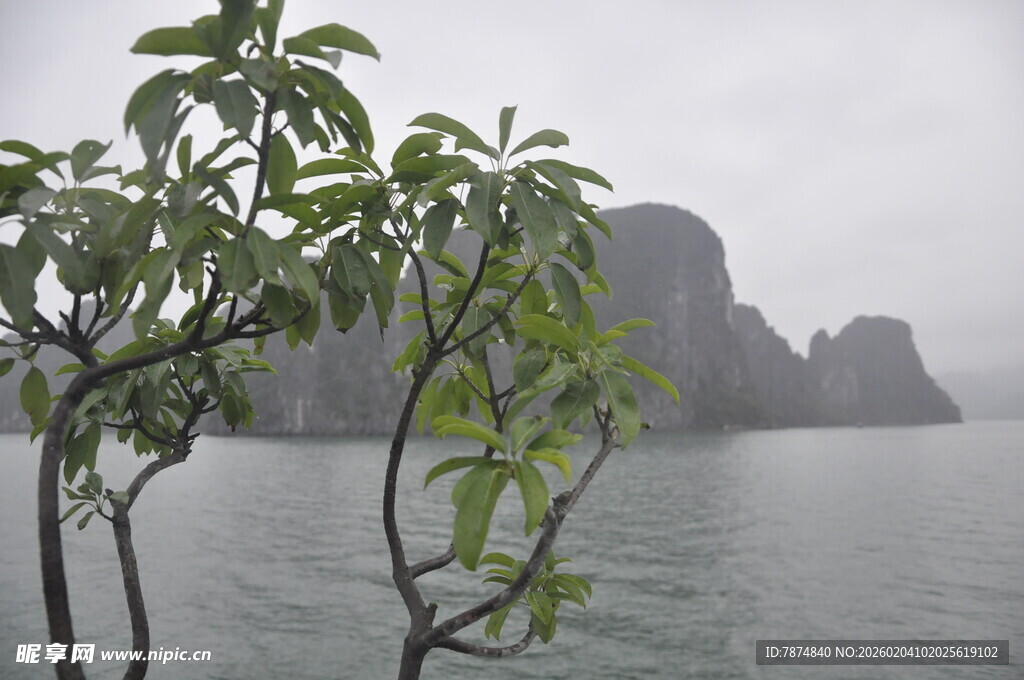 越南雾中湖畔绿树与远山