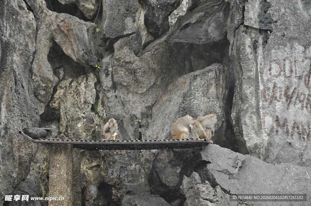 越南岩石缝隙中的神秘景象