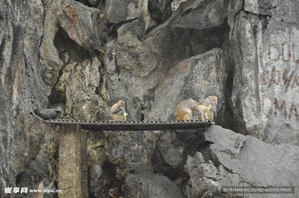越南山洞中的神秘宝藏陈列