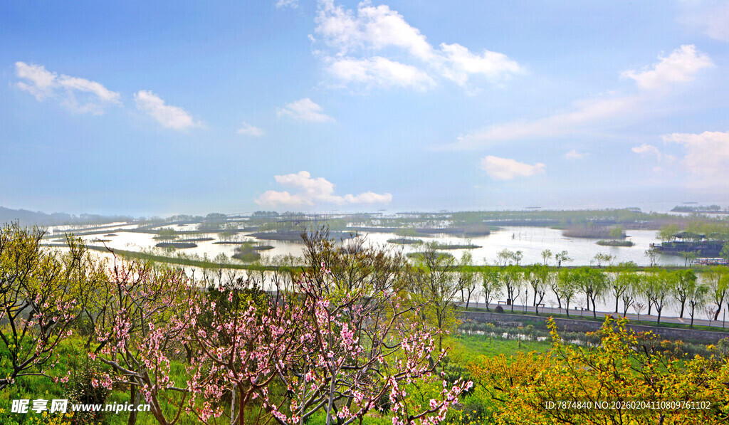湖畔繁花与蓝天美景