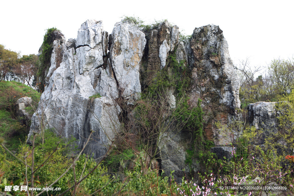 嶙峋怪石与山间绿植