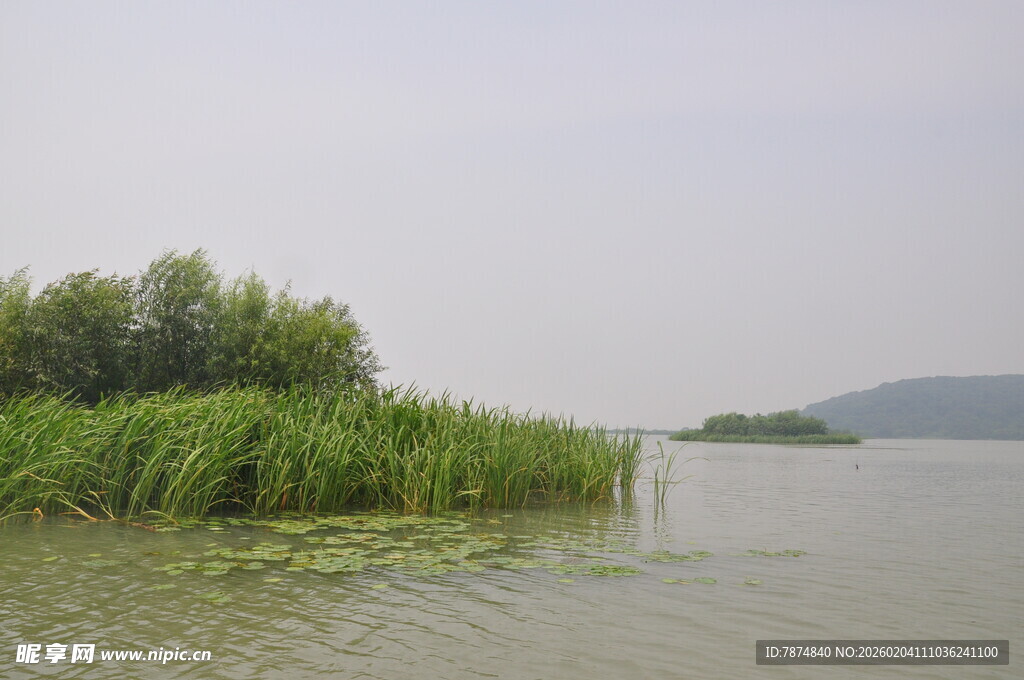 湖畔绿植与波光粼粼水面