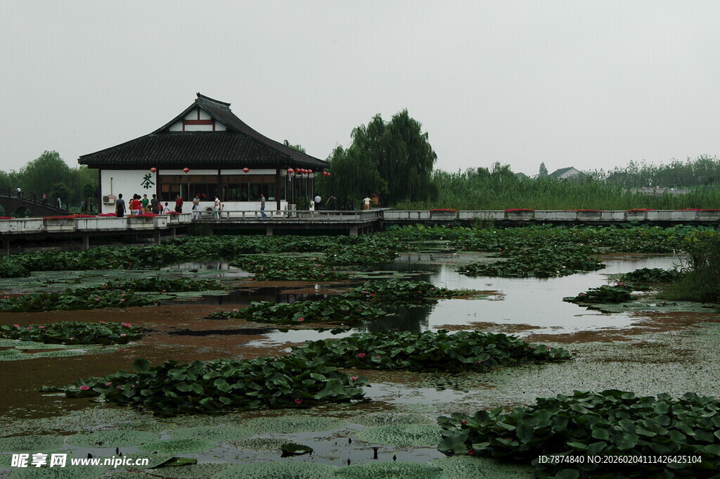江南水乡湿地中式建筑景观