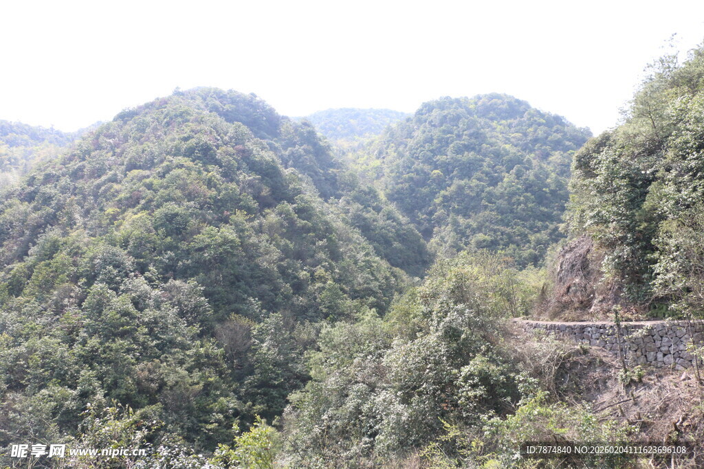 山间葱郁景色