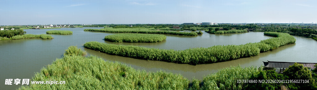 水乡湿地风光
