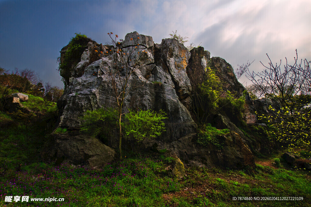 越南嶙峋怪石与葱郁草地景观
