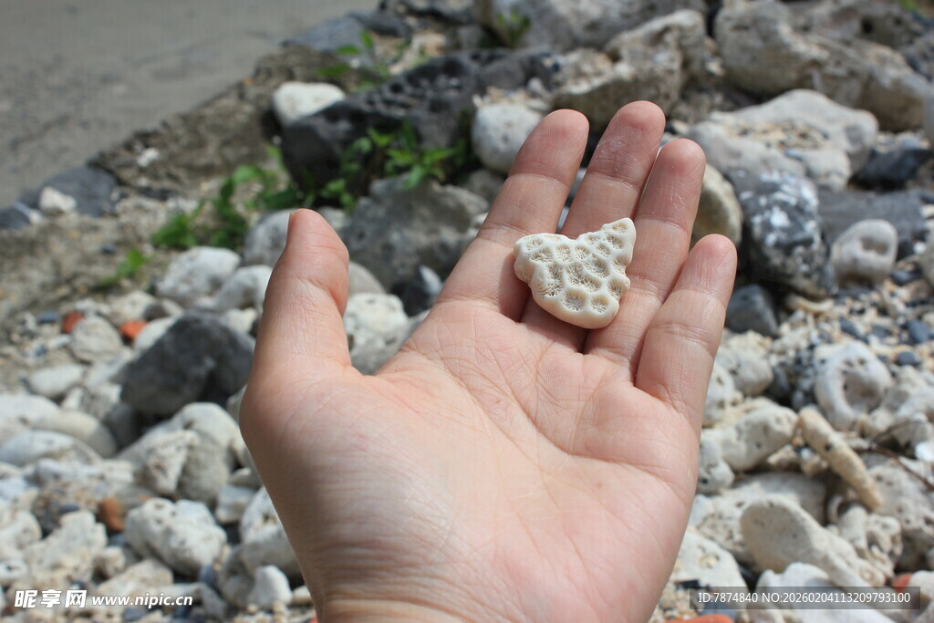 越南手捧海边碎石