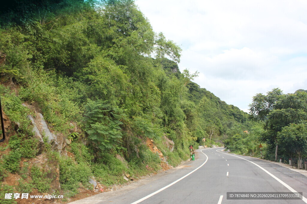 越南蜿蜒山路旁的葱郁景致