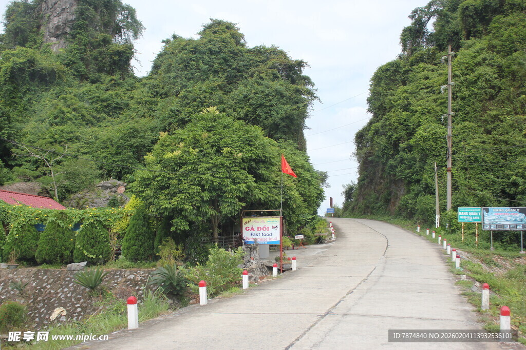 越南乡村林荫小路