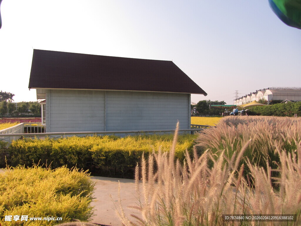 田园小屋旁的多彩植物景观
