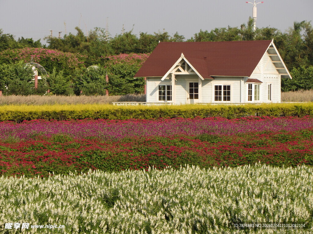 田园小屋旁的多彩花田