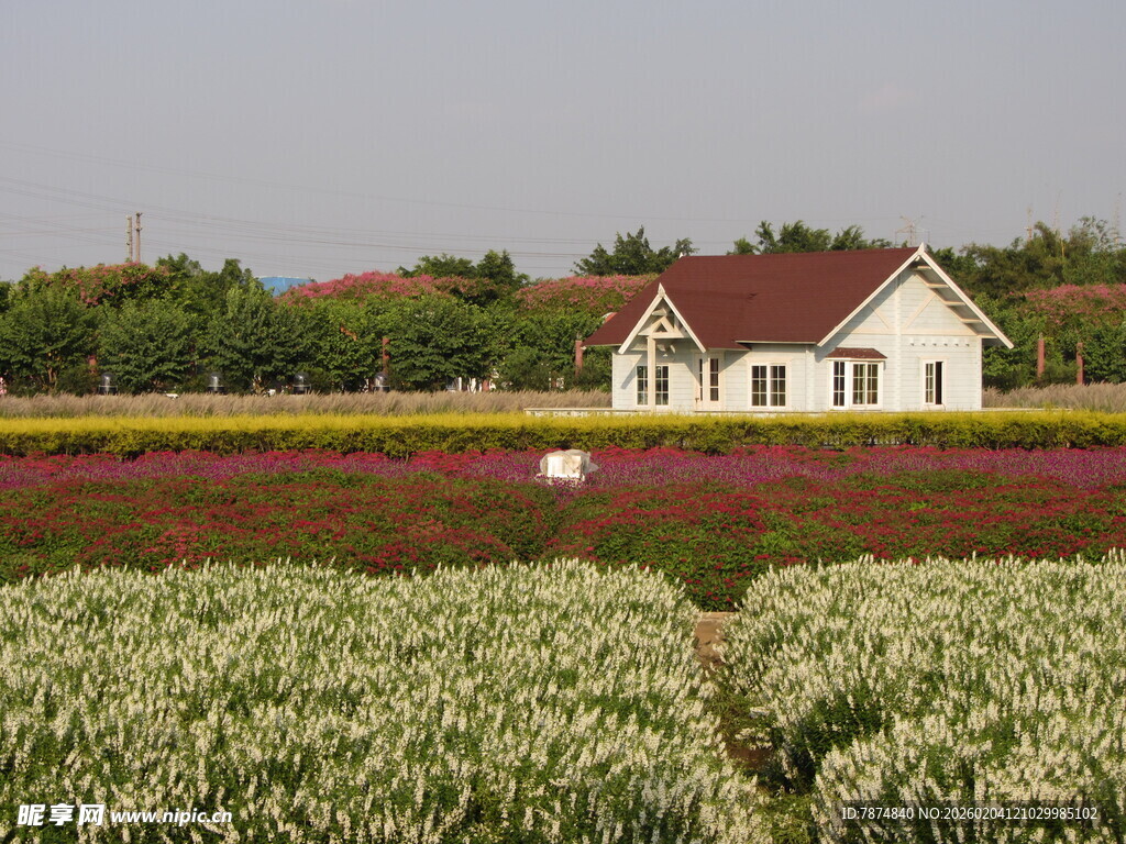 田园小屋旁的多彩花田