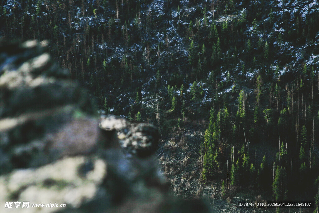 水边繁茂绿植景观
