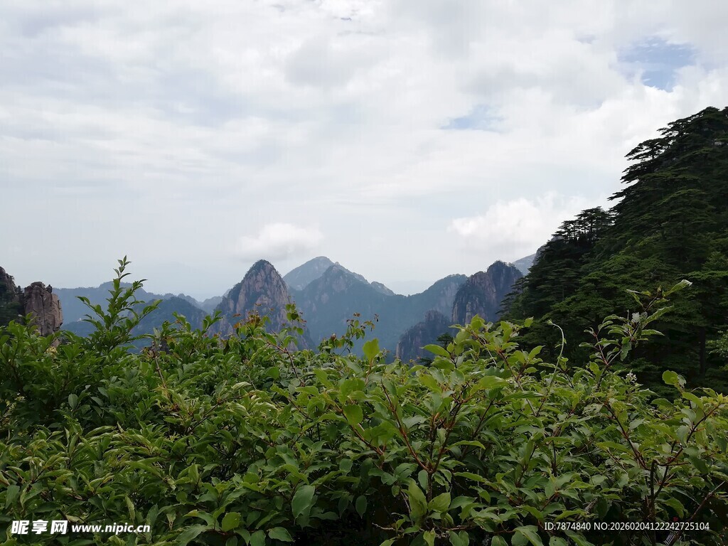 山间绿意盎然的秀丽景致