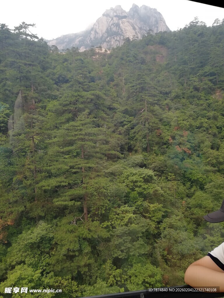山间绿意美景