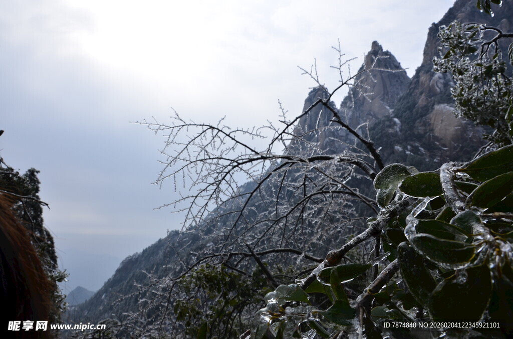 巍峨山峰与葱郁植被