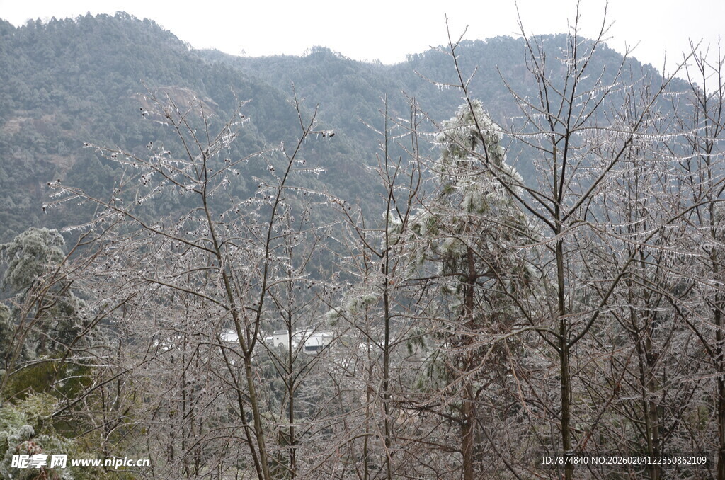 冬日山林雪景