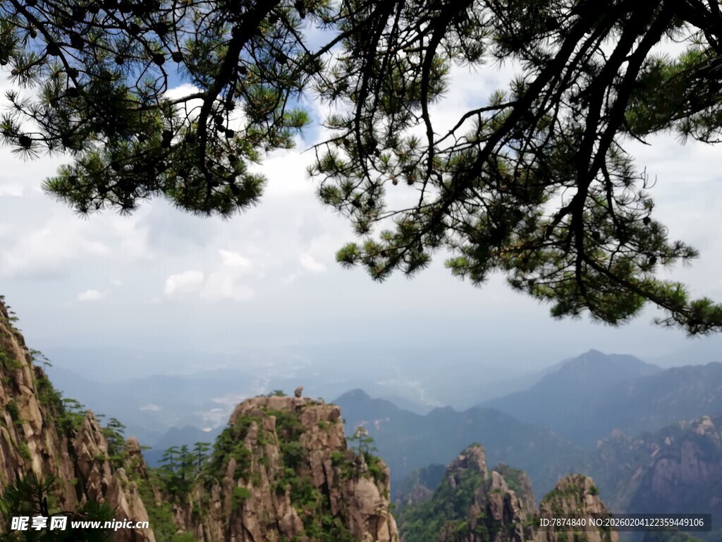 黄山松景下的壮丽山峦